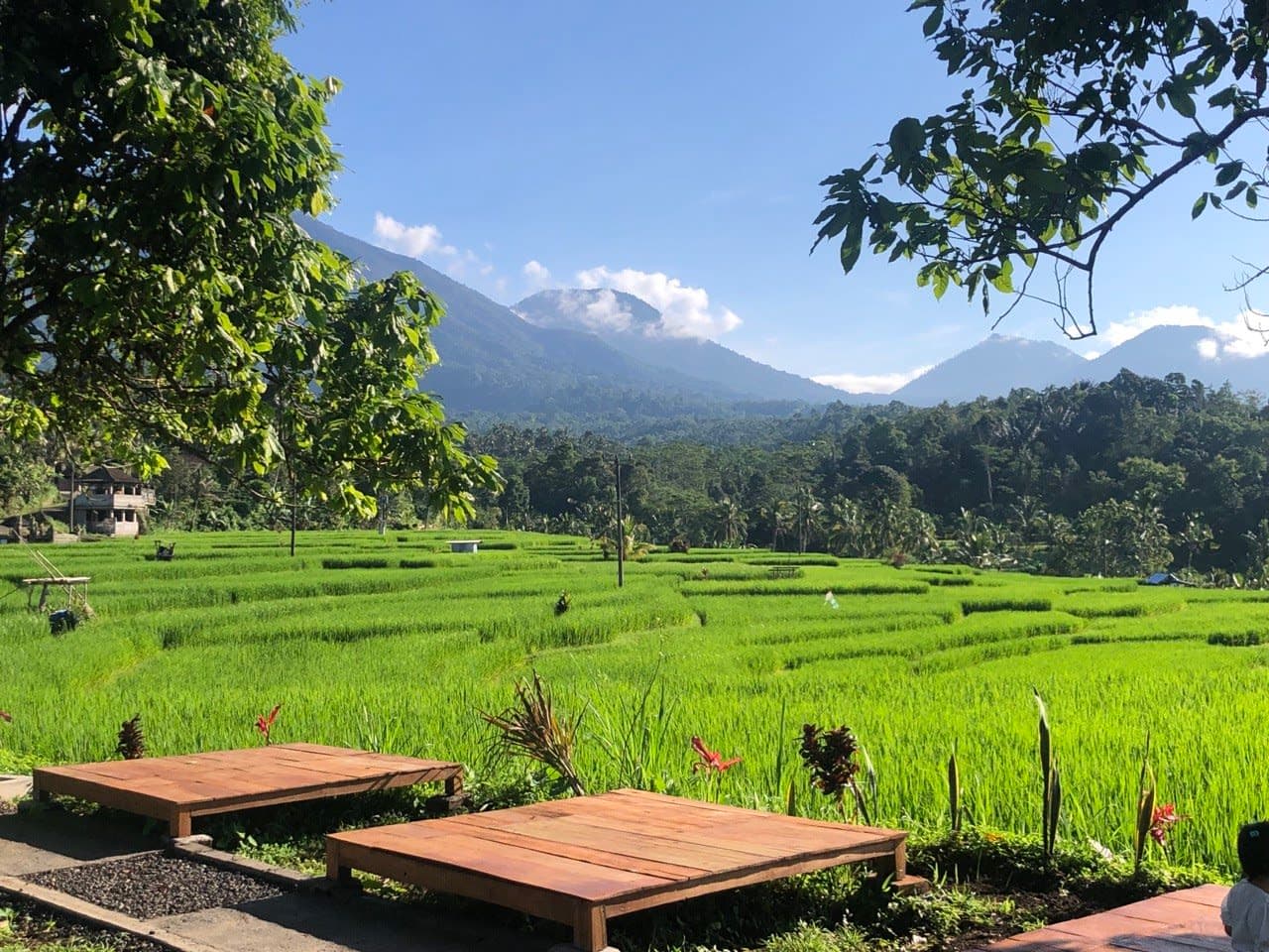 Hanaloka Coffee & Eatery: A Rice Paddy View Healing Spot in Tabanan